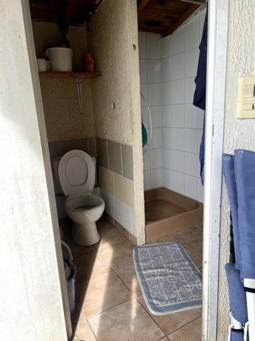 photo no. 7