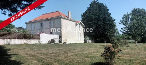 photo no. 6