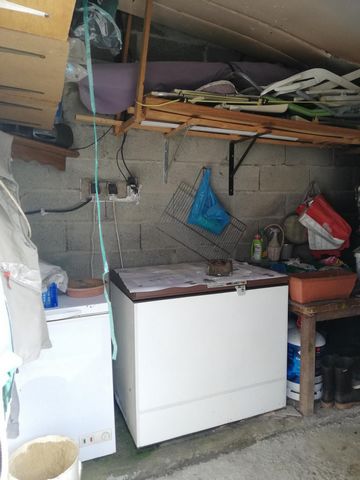 photo no. 13