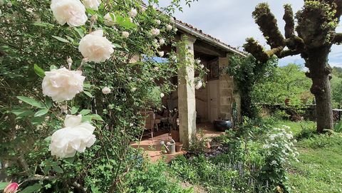 photo no. 23