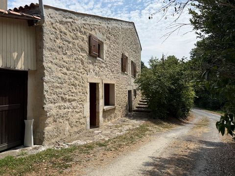 photo no. 13