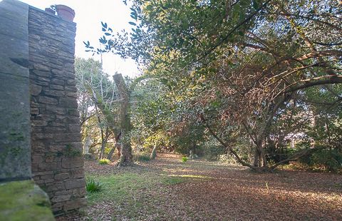photo no. 11