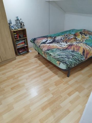 photo no. 6