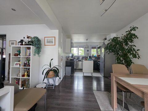 photo no. 11