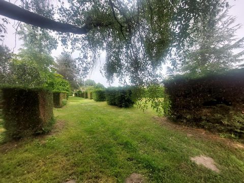 photo no. 12
