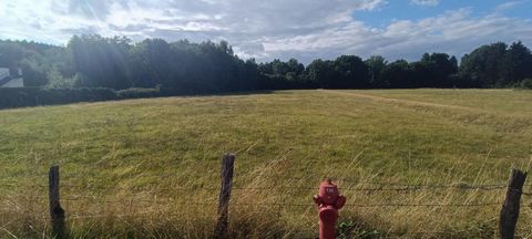 terrain à bâtir à Luxeuil-Les-Bains 70300. 6704M2. situé rue André Colin. Superficie rare à la vente. accès direct a la D6 qui dessert les axes Epinal, Nancy, Vesoul, Besançon. Viabilisation aisée en bord de route 202130 euros honoraires charge vende...