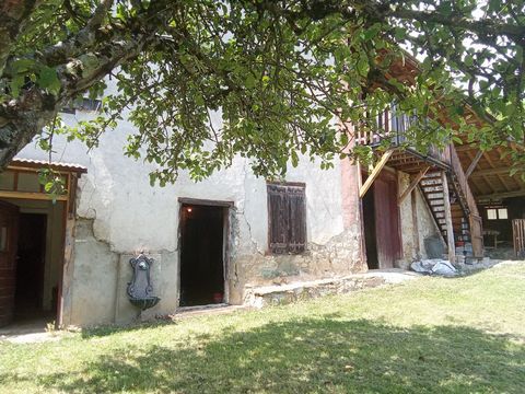 photo no. 9
