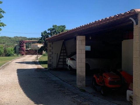 photo no. 12