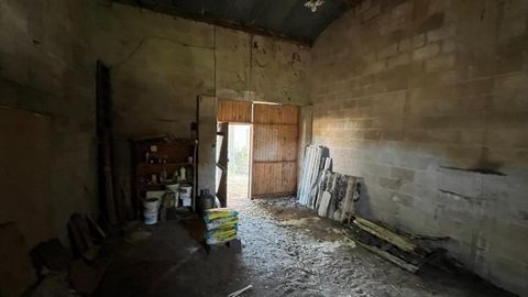 photo no. 12