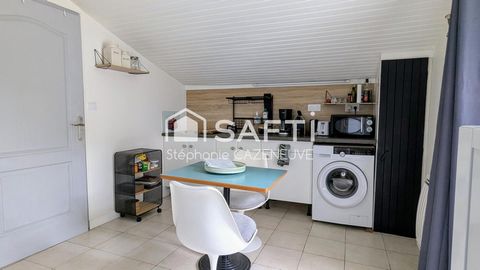 photo no. 15