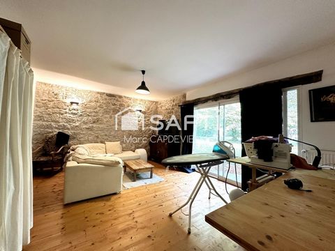 photo no. 11