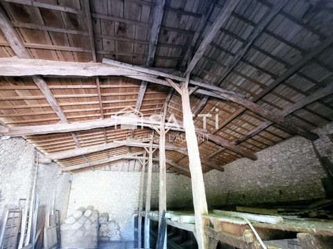 photo no. 11
