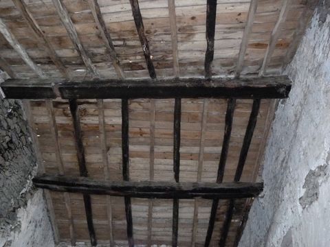 photo no. 17