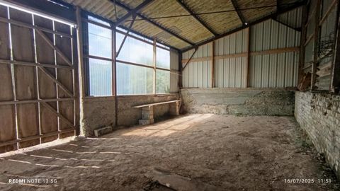 photo no. 8