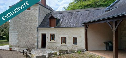 photo no. 5