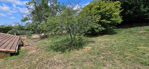 photo no. 16