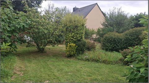 photo no. 1