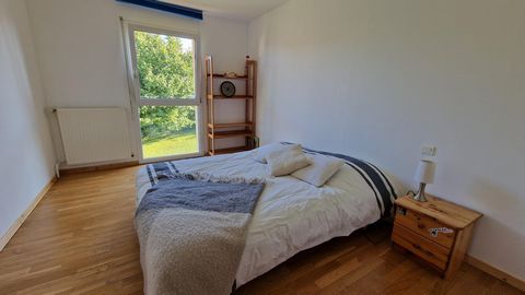 photo no. 12