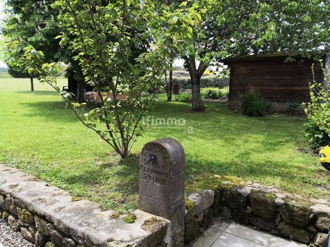 photo no. 2