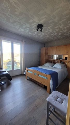photo no. 11