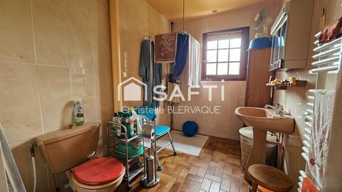 photo no. 11