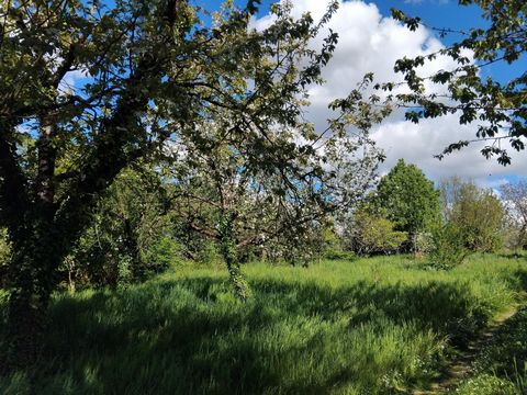 Alerte coup de cœur, le charme de l'ancien proche de la nature