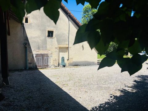 photo no. 16