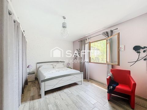 photo no. 13