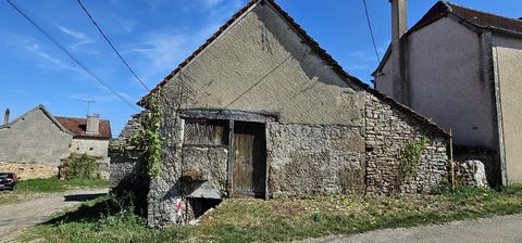 photo no. 10