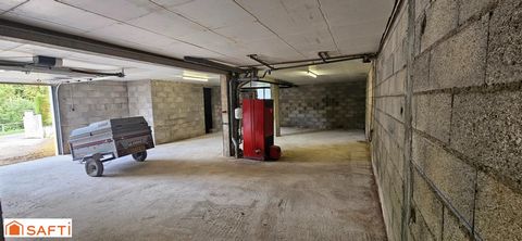 photo no. 12