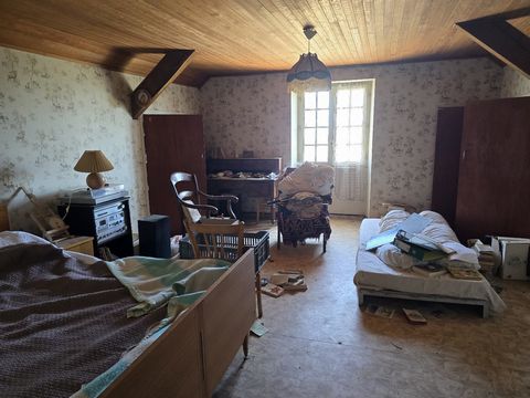 photo no. 12