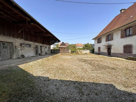 photo no. 14