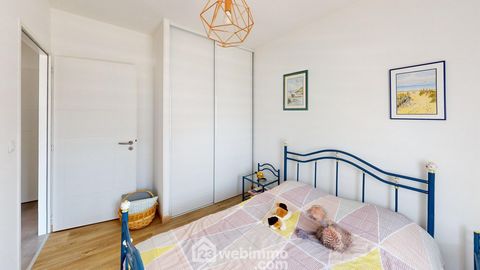 photo no. 11