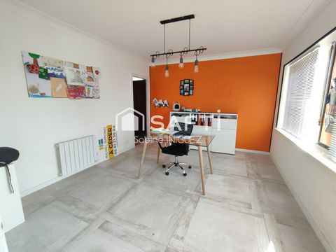 photo no. 10