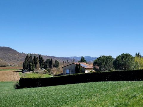 photo no. 14