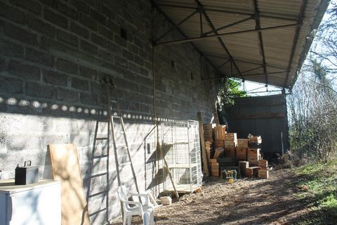 photo no. 1
