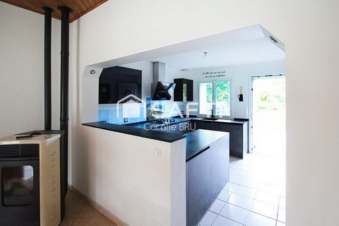 photo no. 3