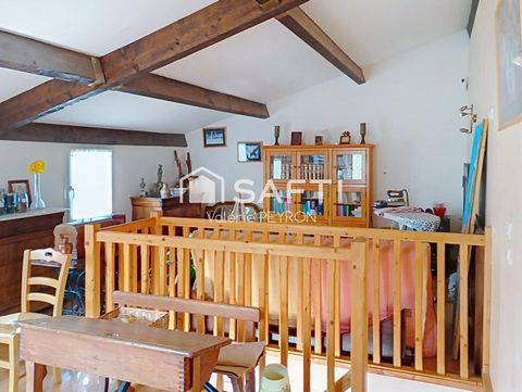 photo no. 10