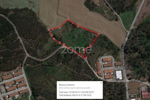 Property ID: ZMPT520888 Excellent plot of rustic land situated in Fradelos new village of Famalicão. This land is situated very close to the Road Fradelos, Ribeirão, with 15500 M2, you can build a villa, a shipyard, or other type of investment. 3 rea...