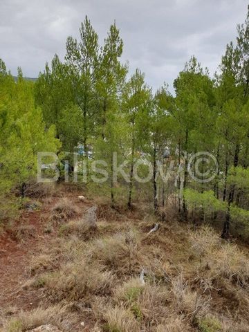 Brac, Bol Land within the area of economic use - business, utility - service, marked K3, near the county road, 1750 m2. The width of the land is 16 m by the road, and in the widest part it is 18 m. Since the land is on a hill, it offers a beautiful v...