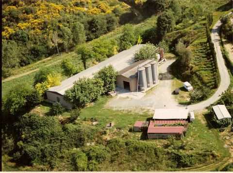 CHIUSI (SI): Farm specializing in poultry breeding of 5.10 hectares with farmhouse, sheds used as stables and outbuildings, consisting of: - olive grove of 1.5 hectares with 40 plants in production; - arable land of gentle hillside of 3.32 hectares w...