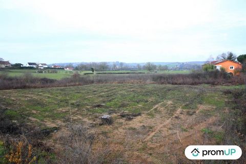 We are delighted to present this one-of-a-kind real estate listing. We are pleased to offer you a building plot of 3,000 m2, located in the charming town of Digoin. Imagine yourself projecting yourself onto this flat, bounded lot, where you can build...