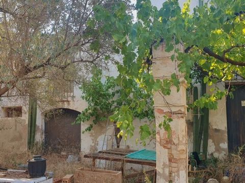 Estate near Tortosa with electricity and well water Country house in ruins to remodel which is 300 m2 Land with cultivation of olive trees which is 25344 hectares There is a pool which is approximately 100000 cubic liters This estate is flat and very...