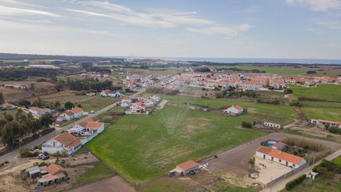 Carrascal is a rustic plot of land with 11,000 m2 in Longueira. Flat, fenced terrain. The land is located in the Expansion Zone and is subject to a Detailed Plan. Investment opportunity. Beach 2.5 km, Odemira 18 km, Vila Nova de Milfontes 10 km. We a...
