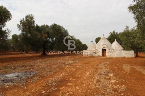PUGLIA. Francavilla Fontana TRULLO TO BE RENOVATED Coldwell Banker offers for sale, exclusively, a trullo of three cones, to be renovated 15km from Ostuni, in the countryside of Francavilla Fontana. The property consists of an entrance hall, lounge a...