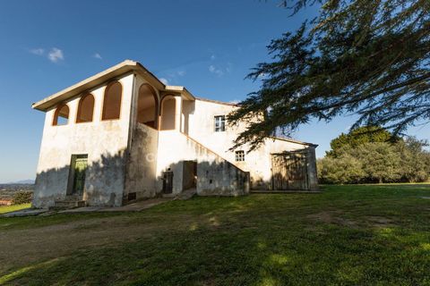 Casale Altura est une ancienne ferme du XIXe siècle située dans nos belles collines pisanes. Il couvre une superficie d'environ 400 m2, sur deux étages hors sol entourés de six hectares de terrain, avec des oliviers en production, des bois et des pra...