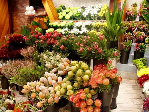 FLORIST -- BALWYN -- #5315140 Fresh flower shop * LOCATED IN BALWYN * Easy to care for $7,500 per week * Reasonable weekly rental, long-term lease of 10 years * The same owner has been doing it for 4 years and is stable * The owner claims a weekly ne...