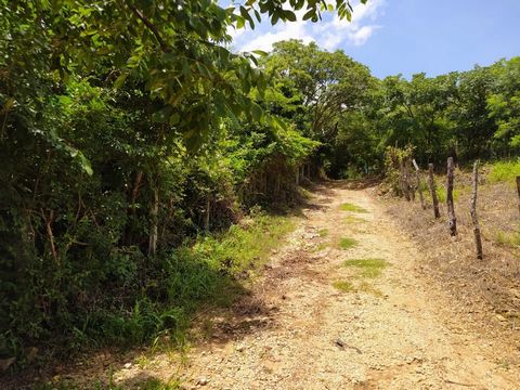 Beau terrain de banlieue adjacent à l’étalement urbain du quartier El Jobo au sud de Tuxtla Gutierrez, Chiapas situé sur un plateau à 850 mètres d’altitude. Il maintient un climat chaud toute l’année. Il y a 24 hectares avec des services d’eau et d’é...