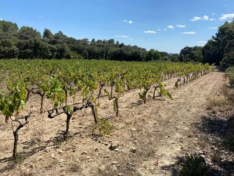 Te koop prachtige recreatiegrond in een landbouwzone van 6.566 m2 in de gemeente Saint Hilaire d'Ozilhan met elektriciteit aan de rand en mogelijkheid om te boren voor de prijs van 30000 euro verkoperskosten. De wijnstokken worden op verzoek door de ...