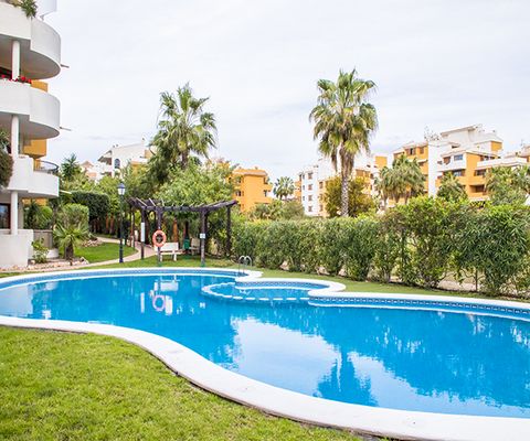 The urbanization Panorama Park is considered one of the most beautiful in the residential area of Punta prima. The territory of the complex includes beautiful landscaped areas, 2 swimming pools and an abundance of tropical plants. 5 minutes walk to C...
